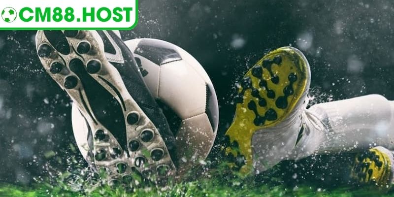 Cược thiết lập dựa trên phân tích phong độ hai đội