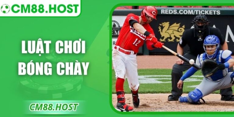 Luật Chơi Bóng Chày – Kiến Thức Giúp Soi Kèo Chuẩn 5 Luật Chơi Bóng Chày – Kiến Thức Giúp Soi Kèo Chuẩn